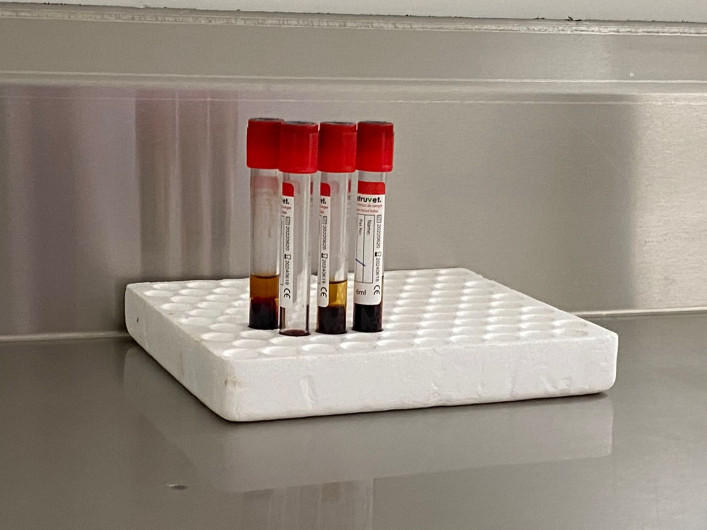 Buscan activar laboratorio ganadero