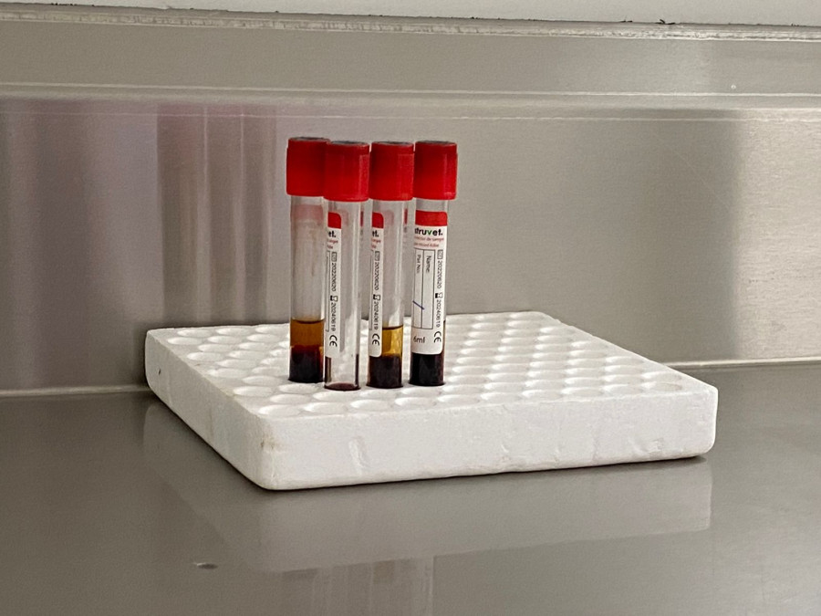 Buscan activar laboratorio ganadero