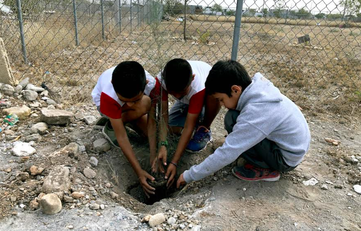 Fomentan valores en los niños mediante actividades de reforestación