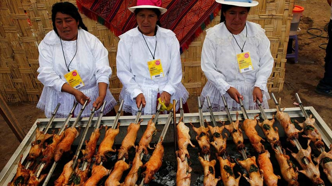 Festival de comida con roedores