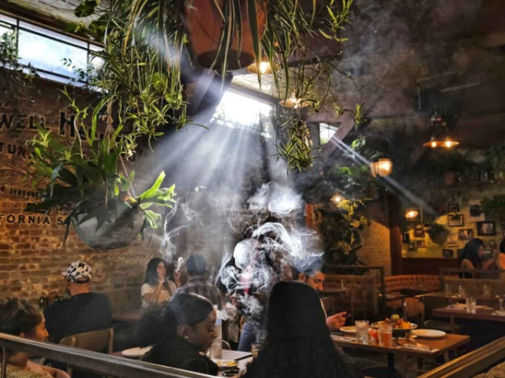 Buscarán despenalizar la marihuana a nivel federal en EU