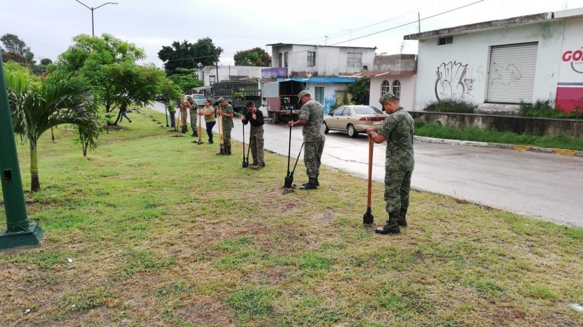 Soldados siembran más de cien árboles en la Borreguera