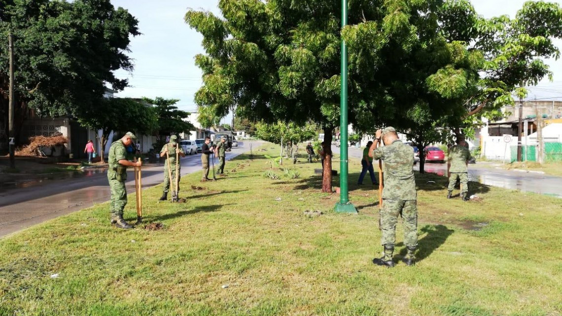 Soldados siembran más de cien árboles en la Borreguera