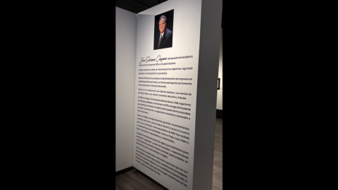 Verde y Oro: un recorrido por la historia del boxeo