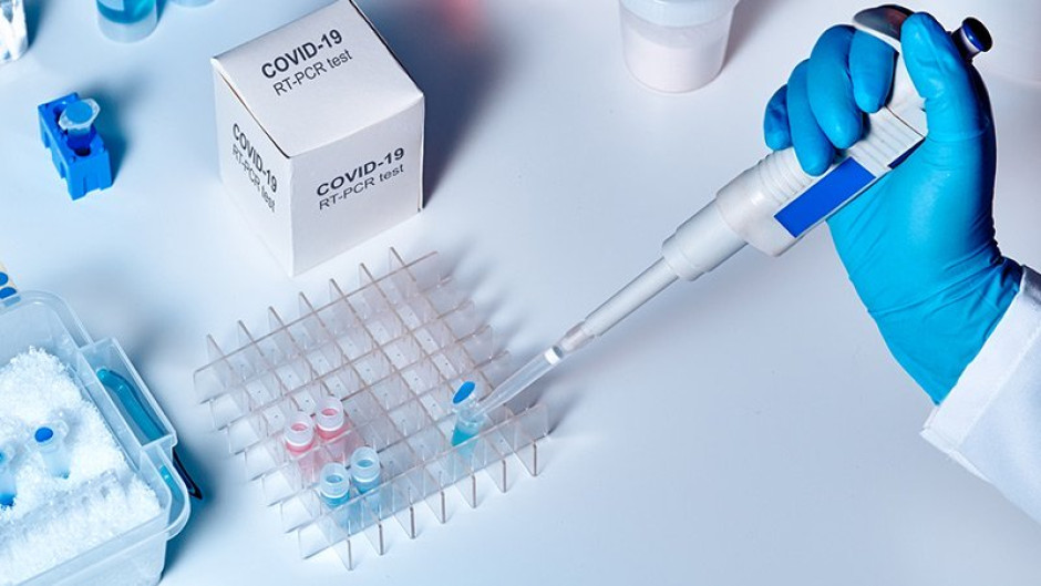 Condado de Starr confirma su octavo caso de covid-19 