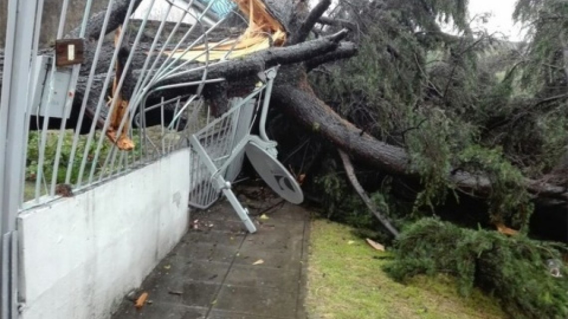 Buenos Aires con destrozos y apagón masivo tras tormenta