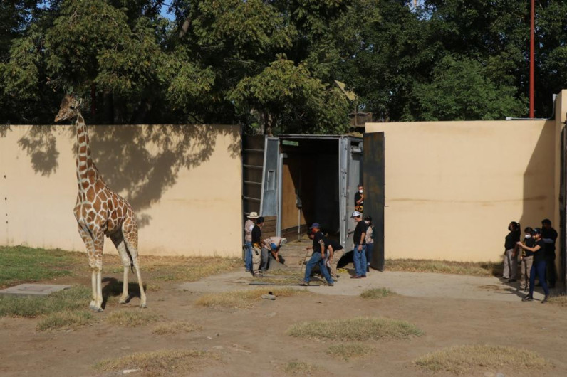Tendrá zoológico Tamatán nuevo integrante
