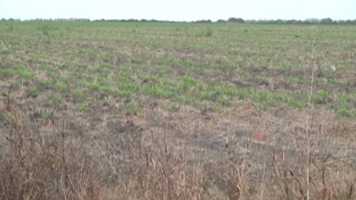 Piden programa para el mejoramiento del campo