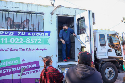 Arranca Jornada de Esterilización felina y canina 