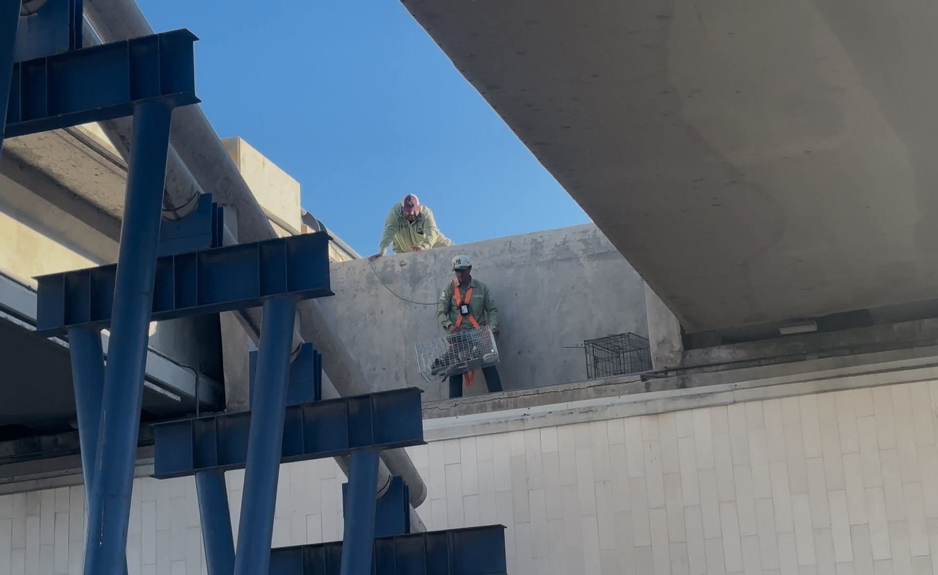 Rescatan a perrito atrapado en el Puente de La Paz