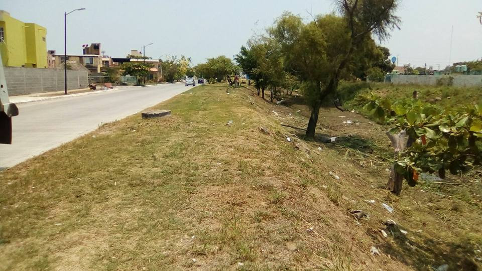 Realizan trabajos de limpieza y desazolve en Canal de Madero