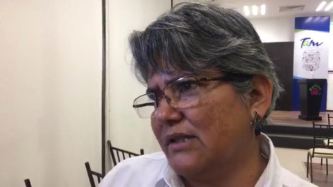 Tamaulipas sin defunciones por picadura de la violinista