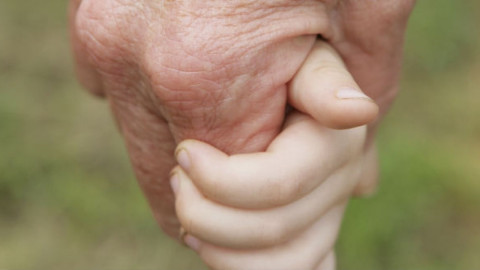 Hoy celebramos a los reyes de la casa, ¡Feliz día del abuelo!