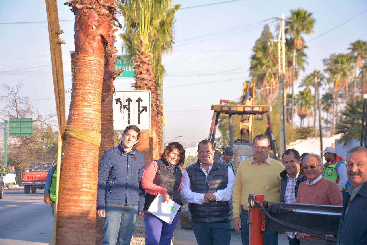 Dan mantenimiento a avenidas principales