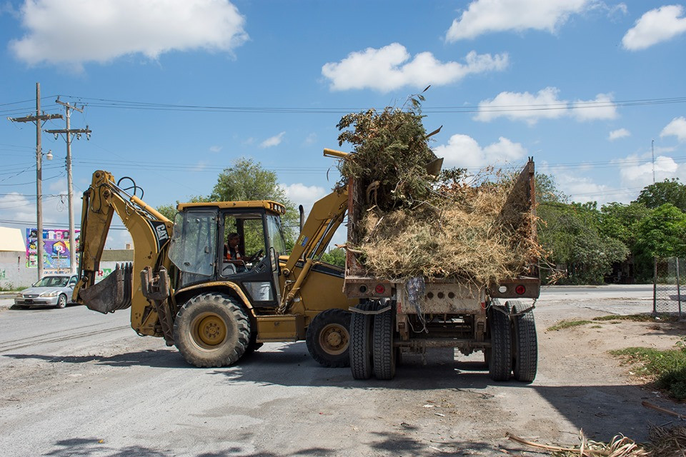 Servicios Públicos Primarios realiza el levantamiento de ramas 