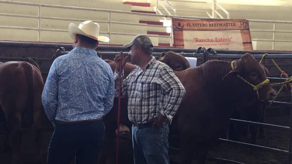 Piden que Unidos por Reynosa se extienda a zona rural
