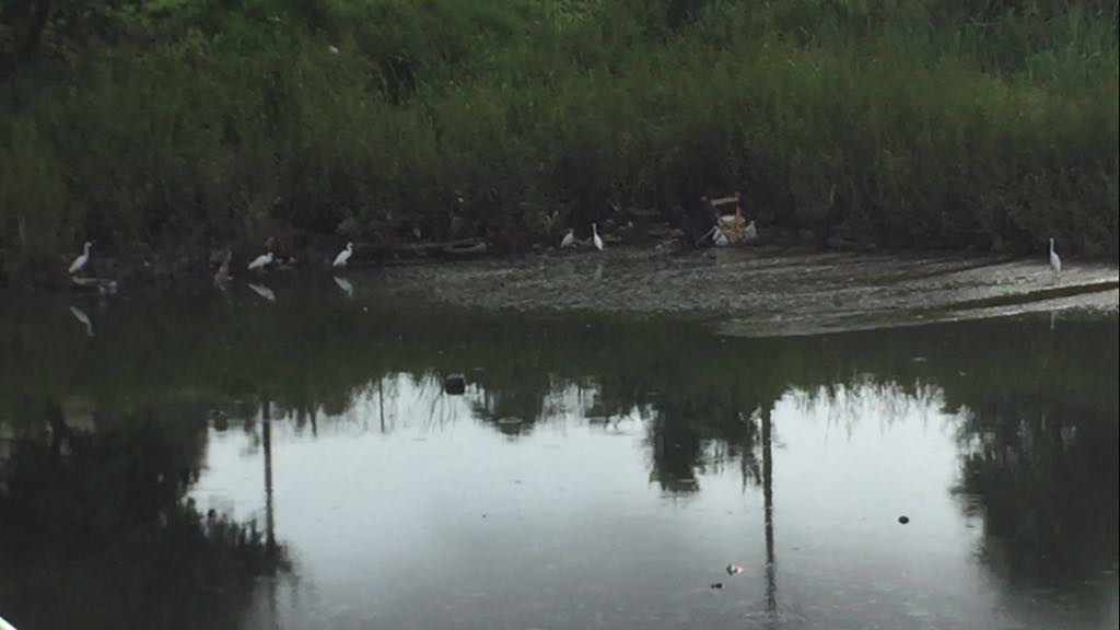 Piden desasolve de vaso captador de aguas negras