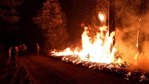 Van 83 muertos por incendios en California