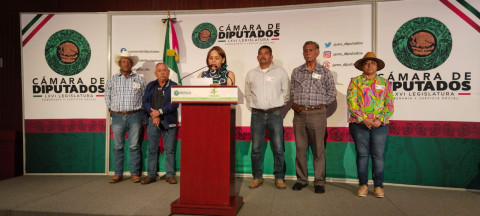 Productores exigen en Cámara de Diputados precios justos de sorgo y maíz