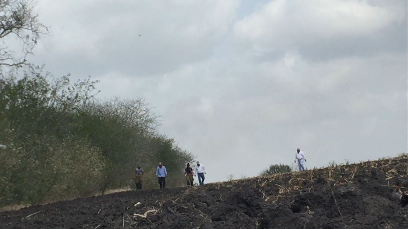 Felino acecha estudiantes de primaria y secundaria en Altamira