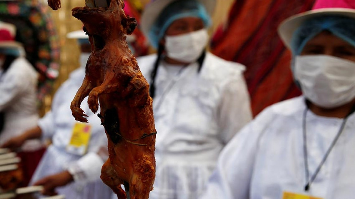 Festival de comida con roedores