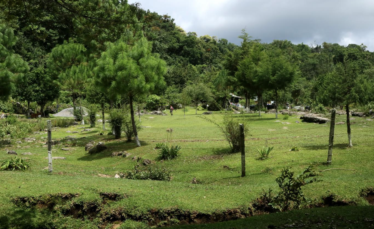 Día Internacional de los Bosques, “Bosques y  Biodiversidad”