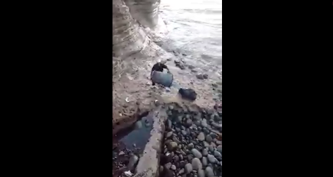 Captan a hombres arrojando basura al mar