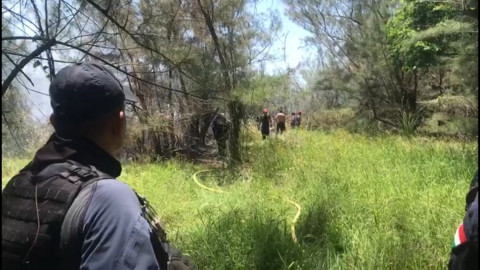 Se incendian pinos en terrenos ubicados en Colonia Miramar Uno