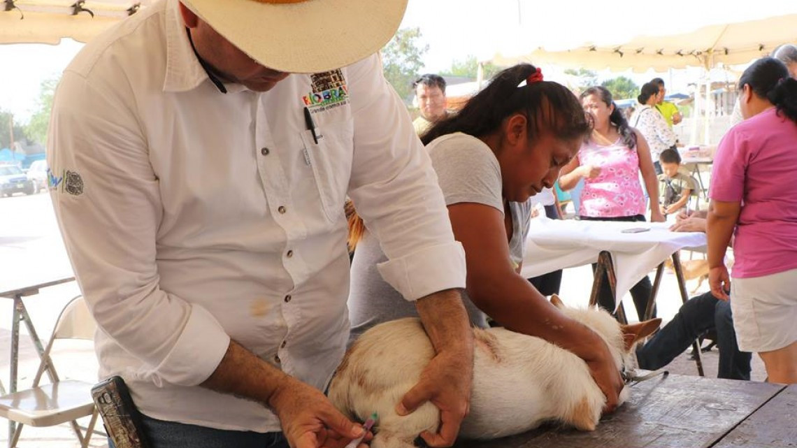 Llevan a cabo programa "A echarle ganas"