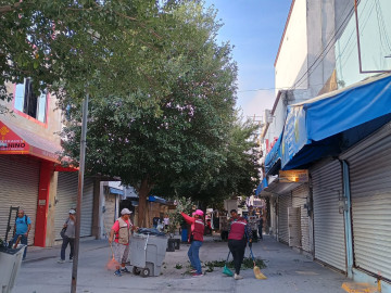  PC y Bomberos realiza el corte y recolección de ramas de árboles sobre la calle peatonal Hidalgo