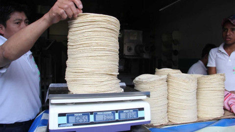 Incremento en el precio de la tortilla no es generalizado: Profeco