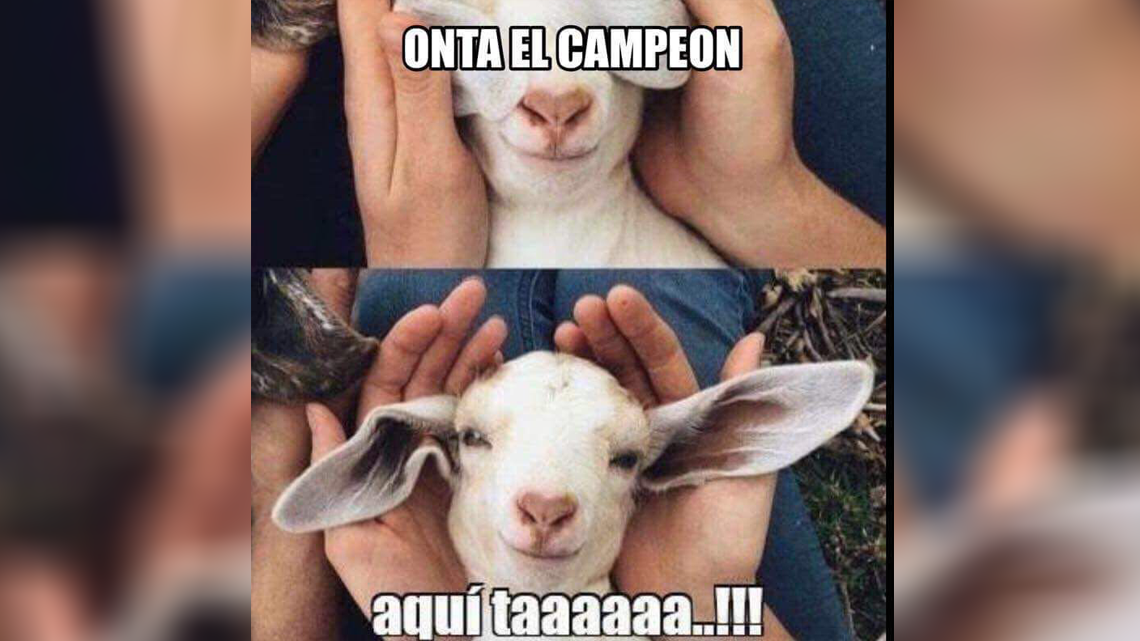 Los memes de la final Chivas vs Tigres