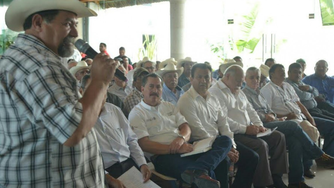 Primera Reunión Regional Contra el Huanglonbing es realizada