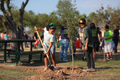 Reforestan espacios públicos con programa Municipal “Sembrando vida”