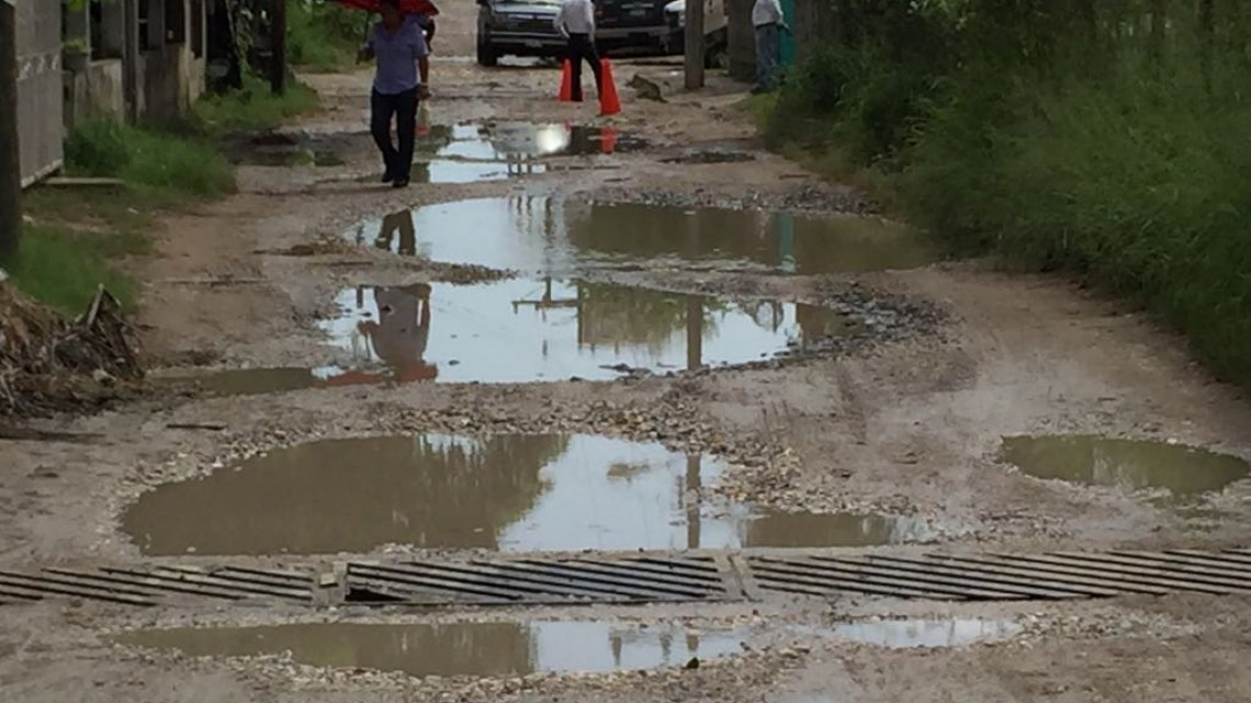Secretaría de salud intensificará combate contra mosco del dengue.