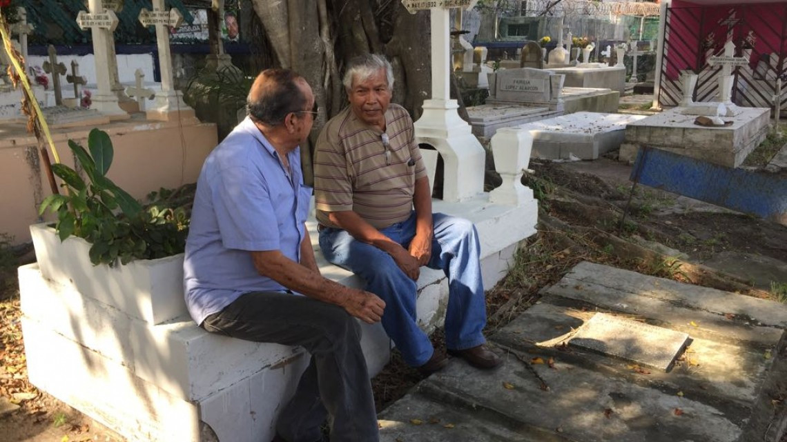Piden derrumbe de árbol que destruye tumbas