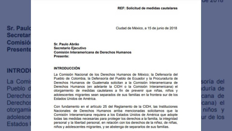 5 países piden ante CIDH protección de niños migrantes en EU