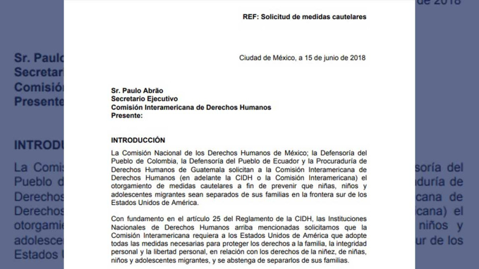 5 países piden ante CIDH protección de niños migrantes en EU