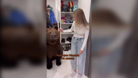 Investigan a tiktoker que metió un oso a su casa para entretener a su hijo