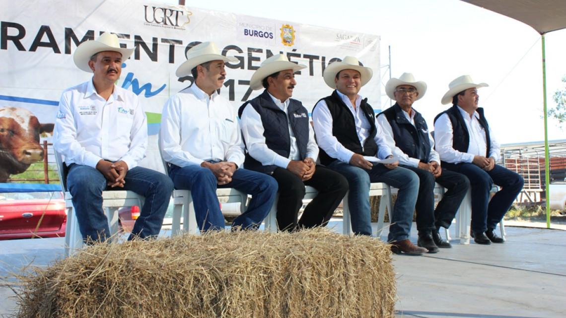Arranca Mejoramiento Genético Tamaulipas 2017