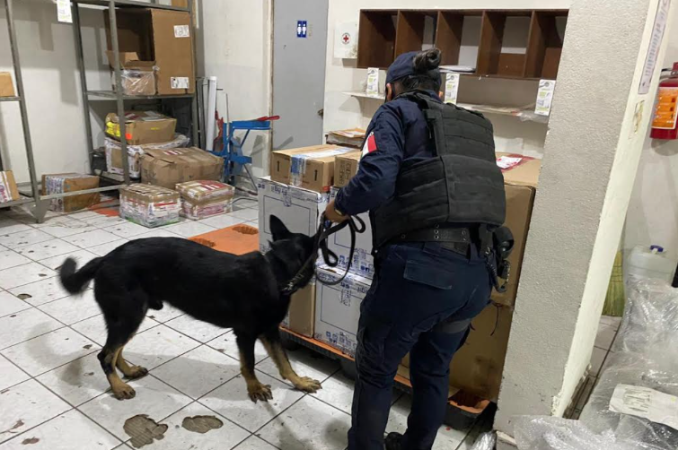 Realizan operativo policiaco en empresas de paquetería 