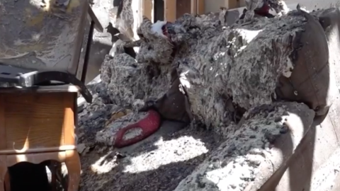 Familia pierde su hogar y a su mascota en trágico incendio en Mission