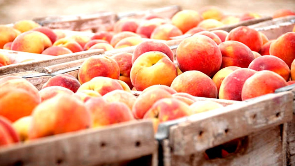 Alerta Cofepris por brote de salmonella en duraznos 