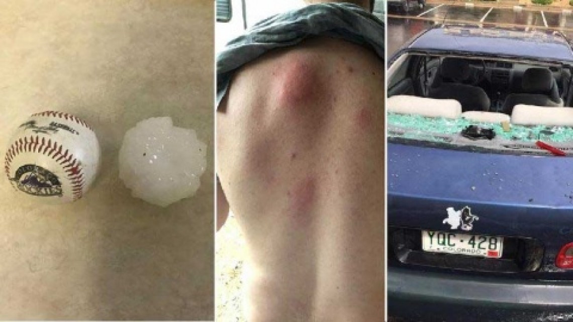 Granizada en EU mata a 2 animales en zoológico