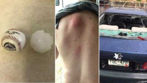 Granizada en EU mata a 2 animales en zoológico