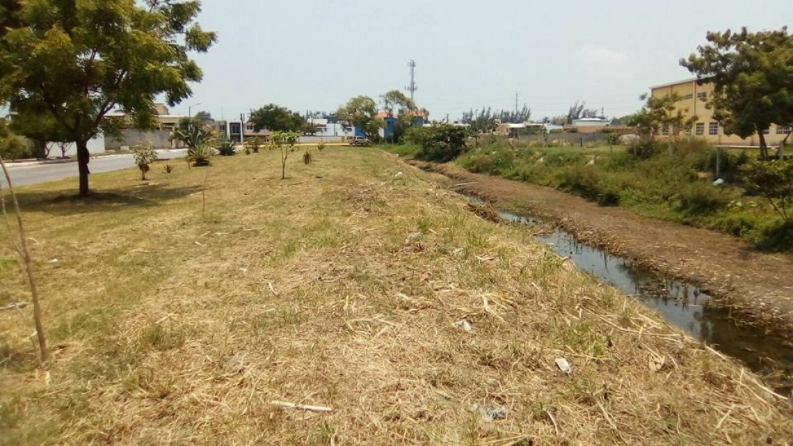 Realizan trabajos de limpieza y desazolve en Canal de Madero