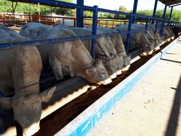 Concluye la Prueba de Evaluación Genética Tam 2018