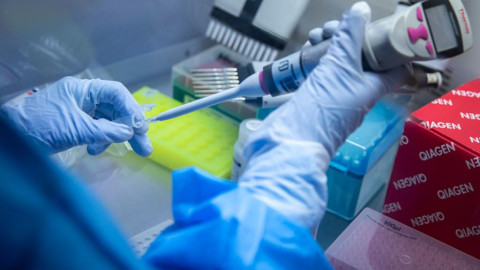COVID-19, se confirman 20 nuevos casos y 2 fallecimientos en Tamaulipas