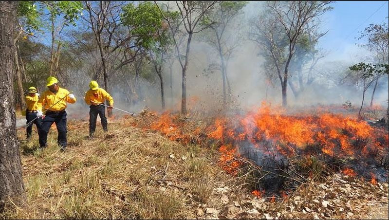 Incendios consumen más de 4 mil hectáreas