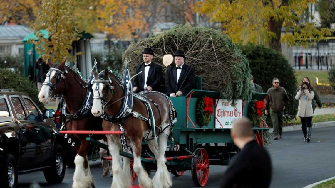 El primer árbol navideño de la familia Trump en la Casa Blanca